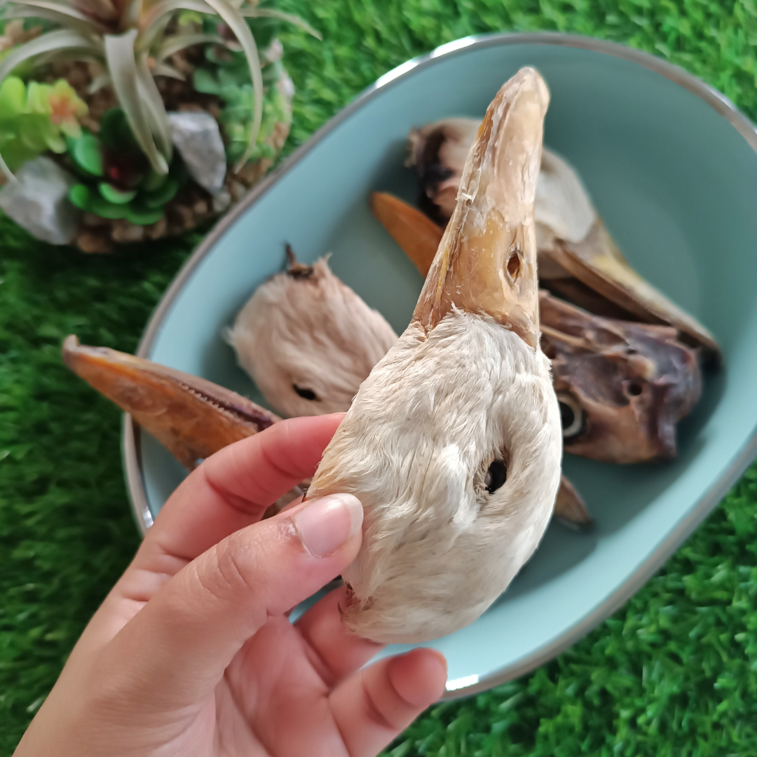 Duck Head