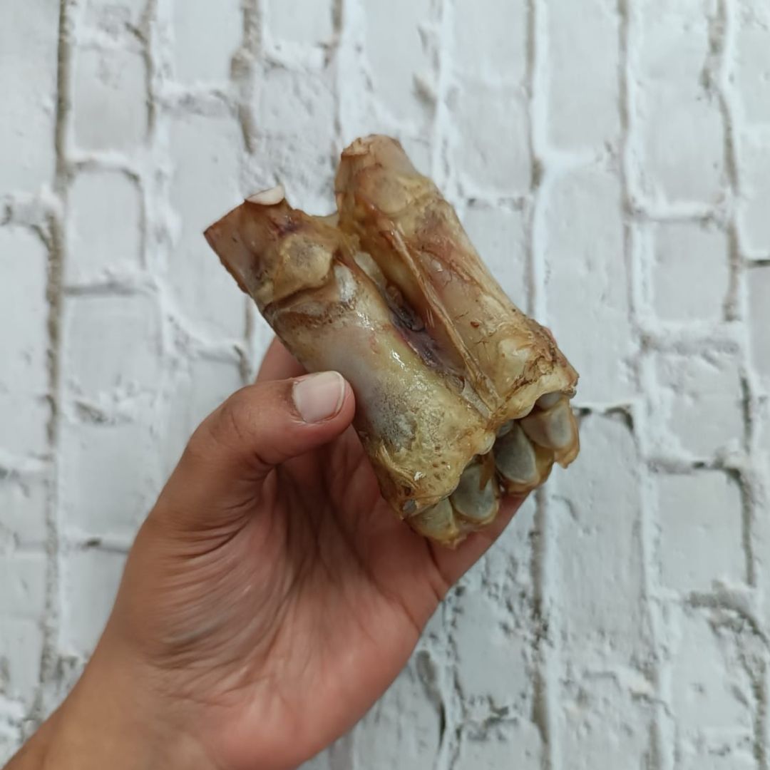 Beef Chewbone