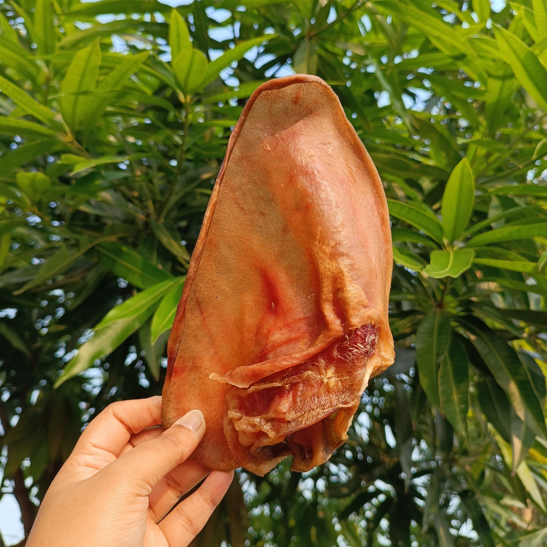 Pig Ears - Whole