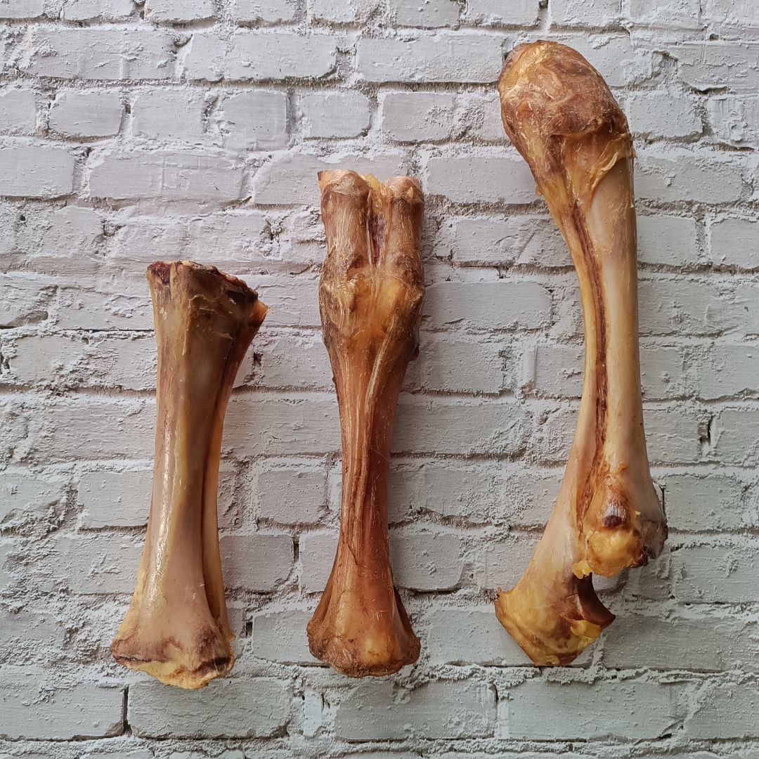 Beef Chewbone