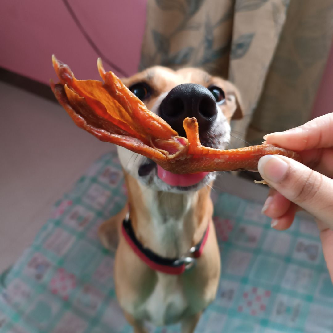 Duck Feet