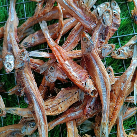 Anchovies