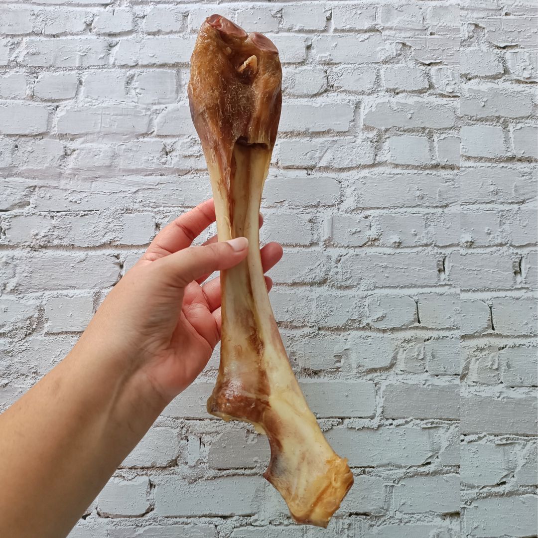 Beef Chewbone