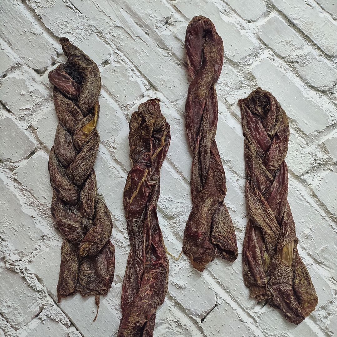 Trachea & Esophagus