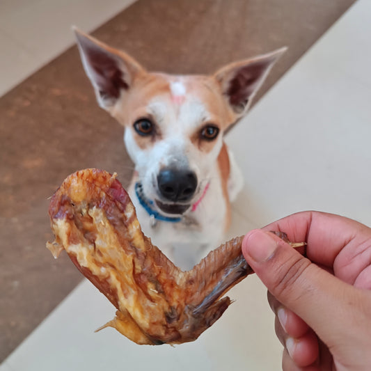 Chicken Wings & Winglets