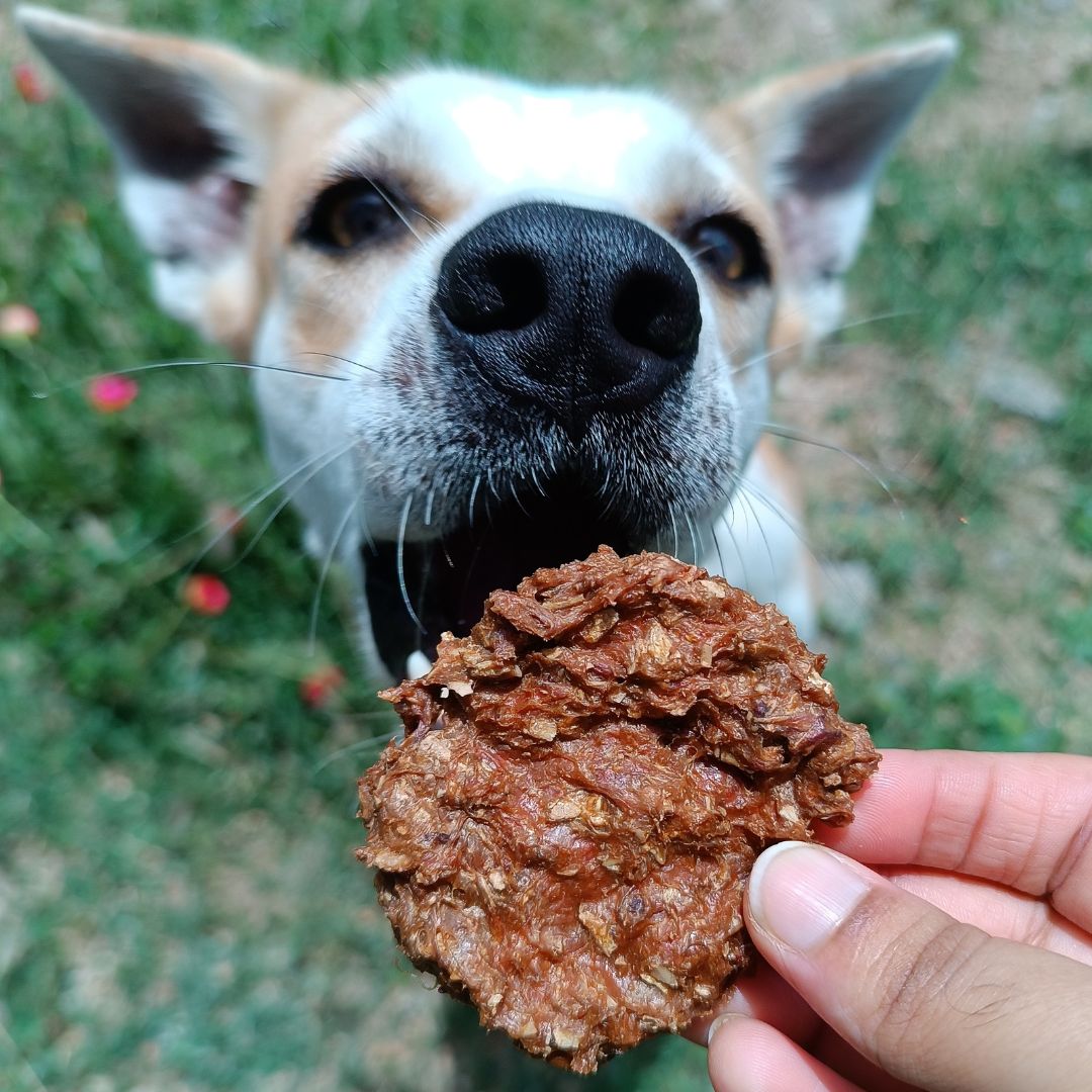Whole Quail Cookies