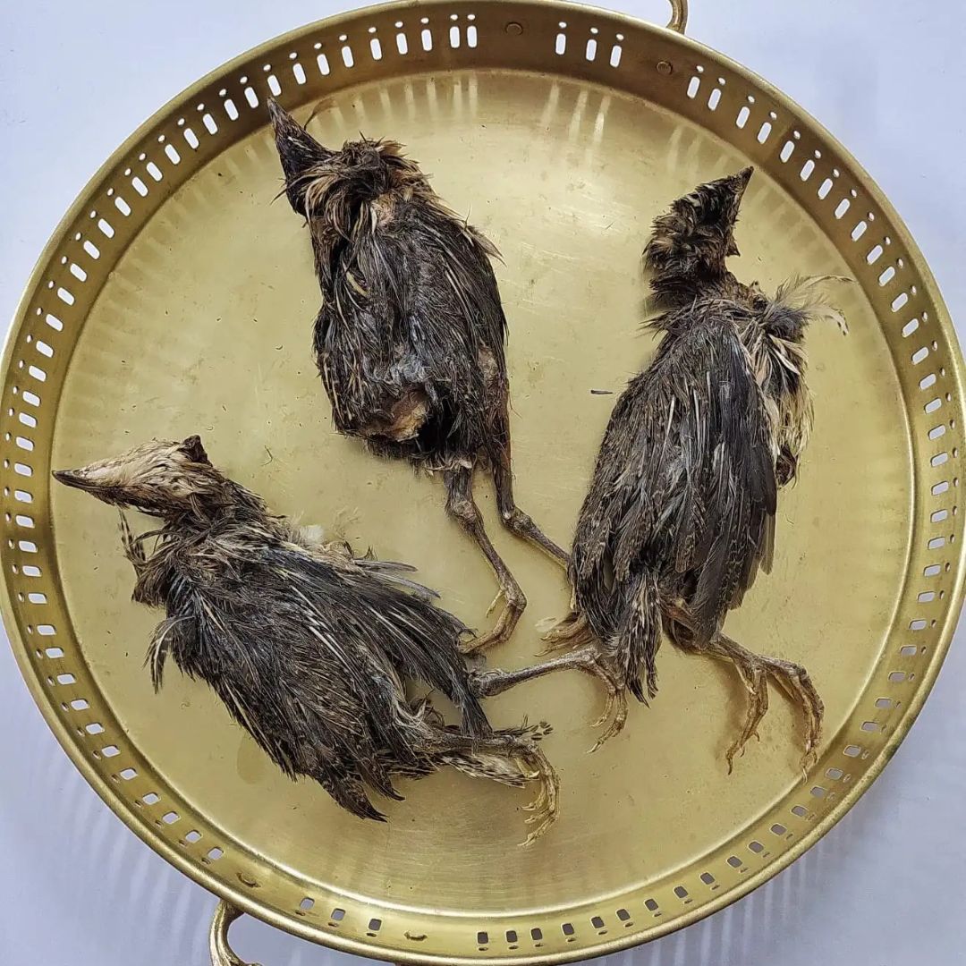 Whole Quail