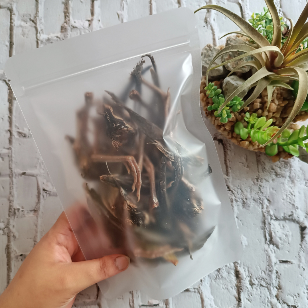 Quail Bundle