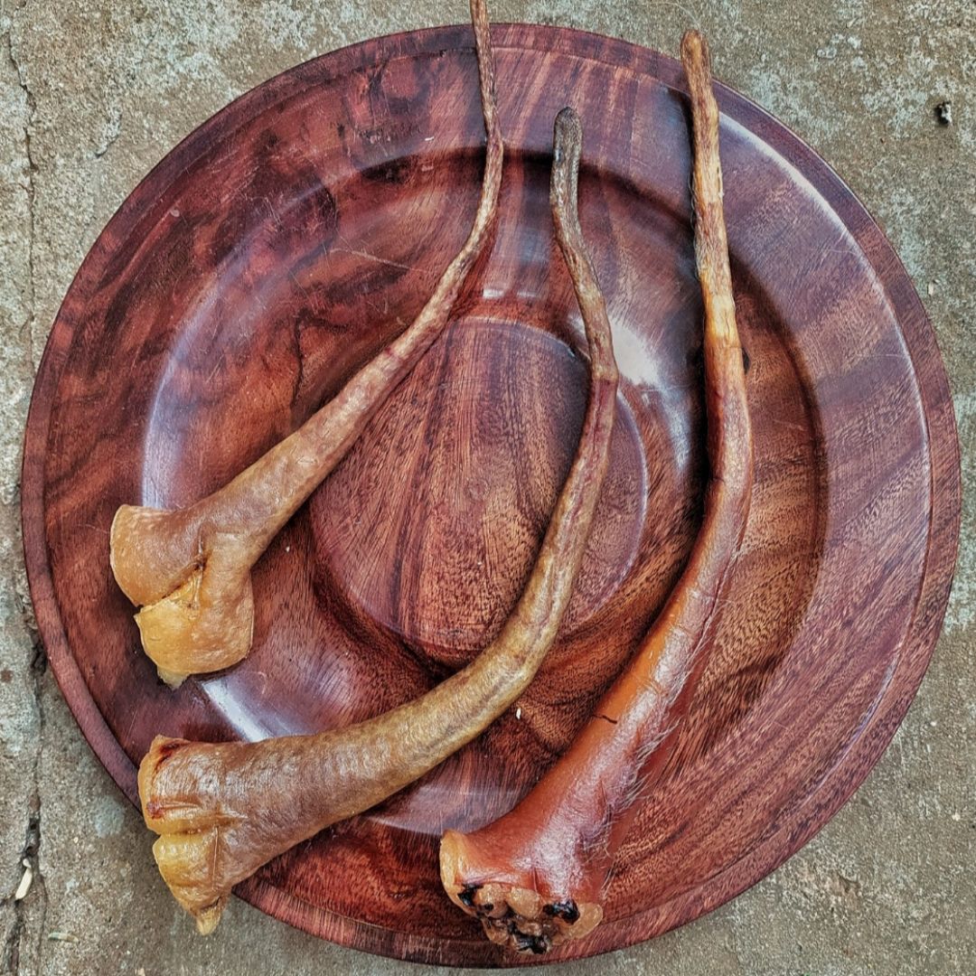 Pig Tail