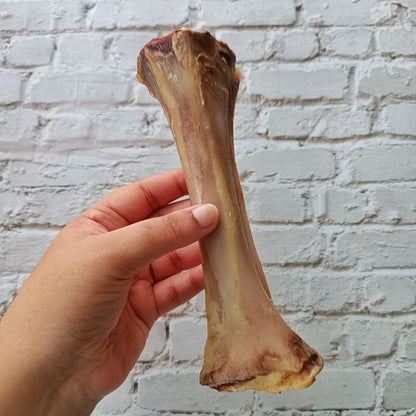 Beef Chewbone