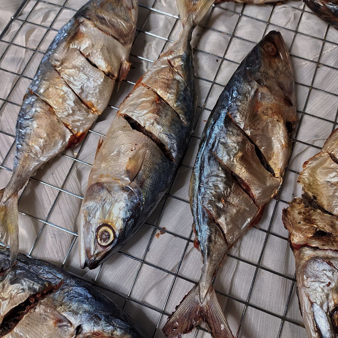 Mackerel