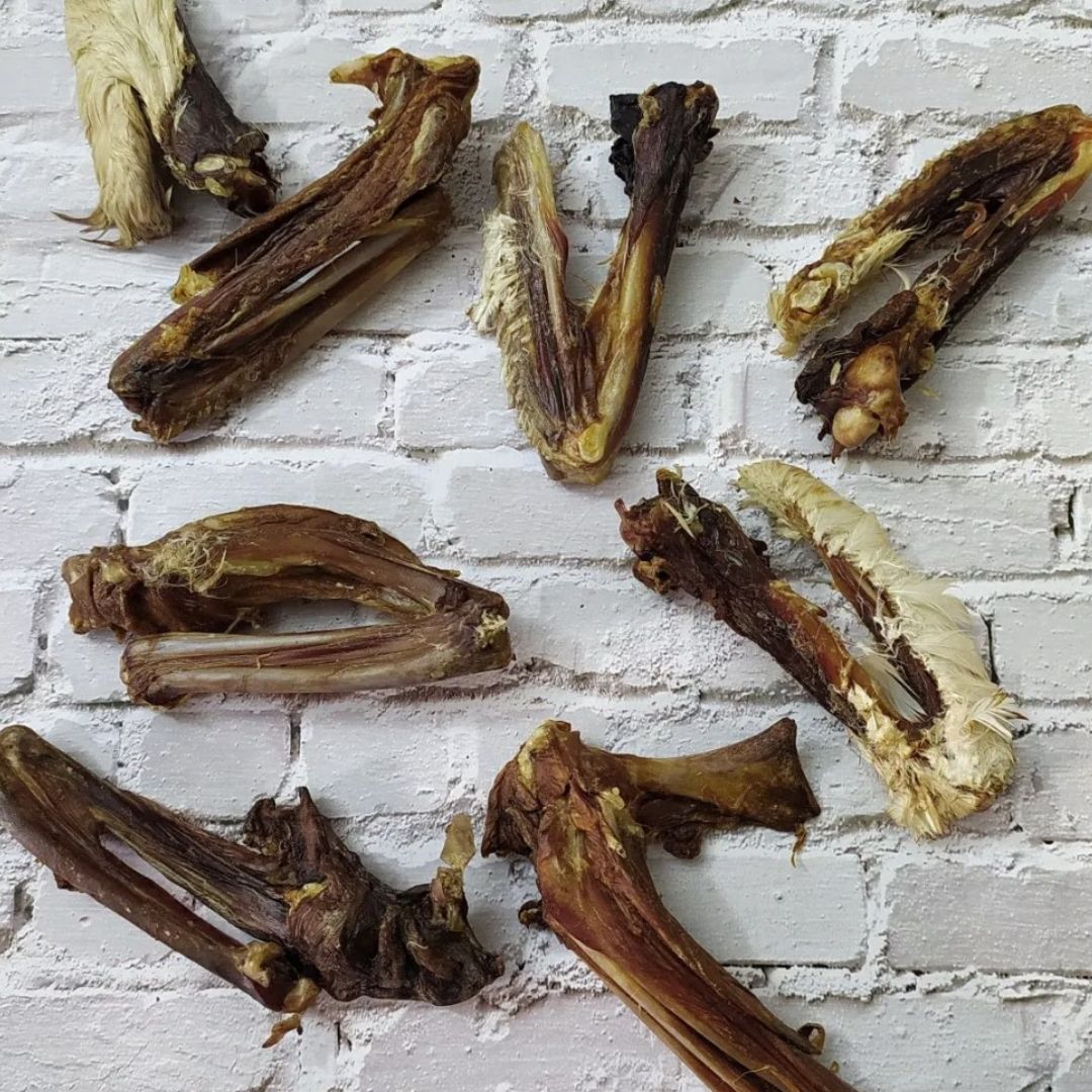 Duck Wings