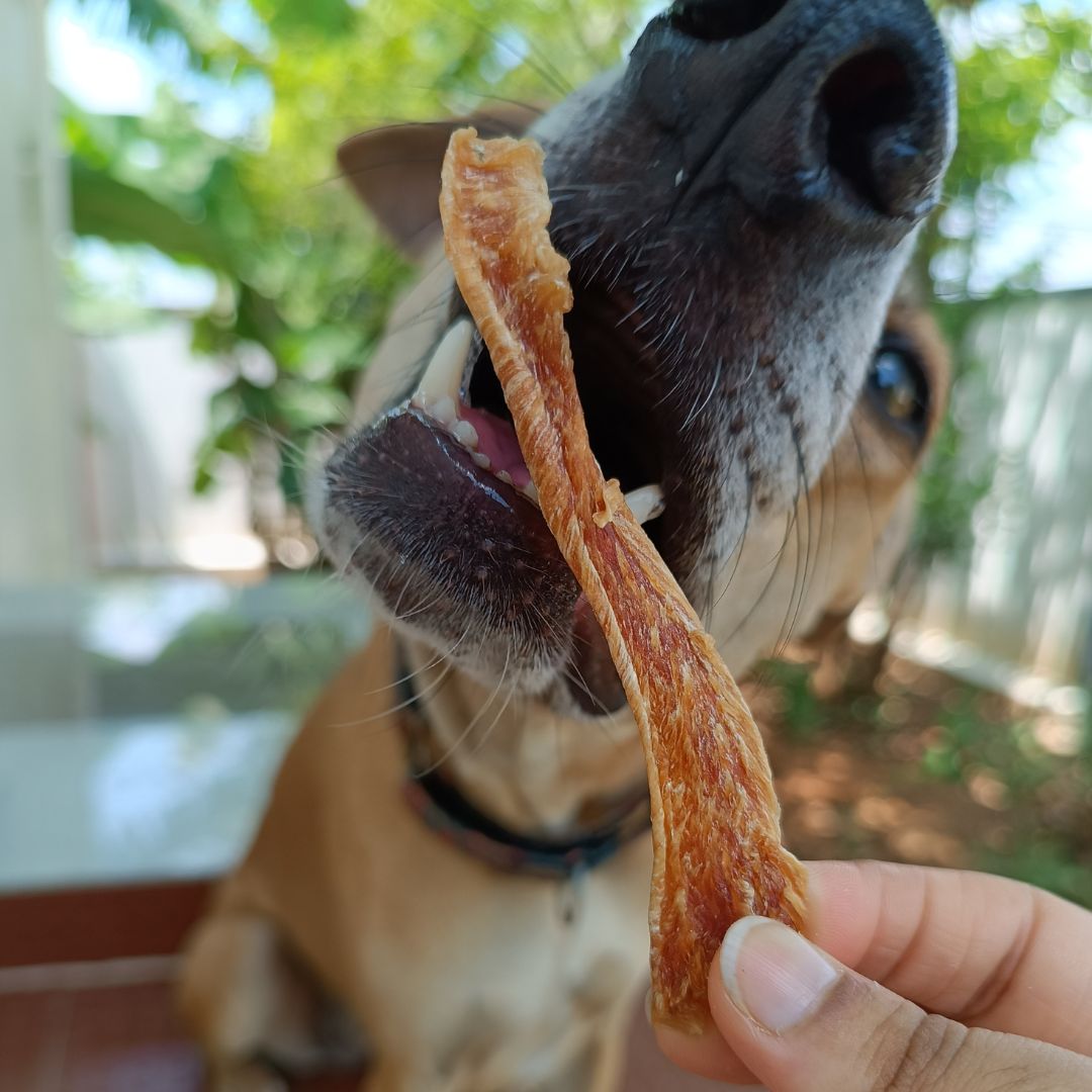 Jerky