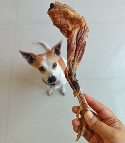 Meaty Chicken Legs