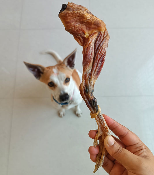 Meaty Chicken Legs