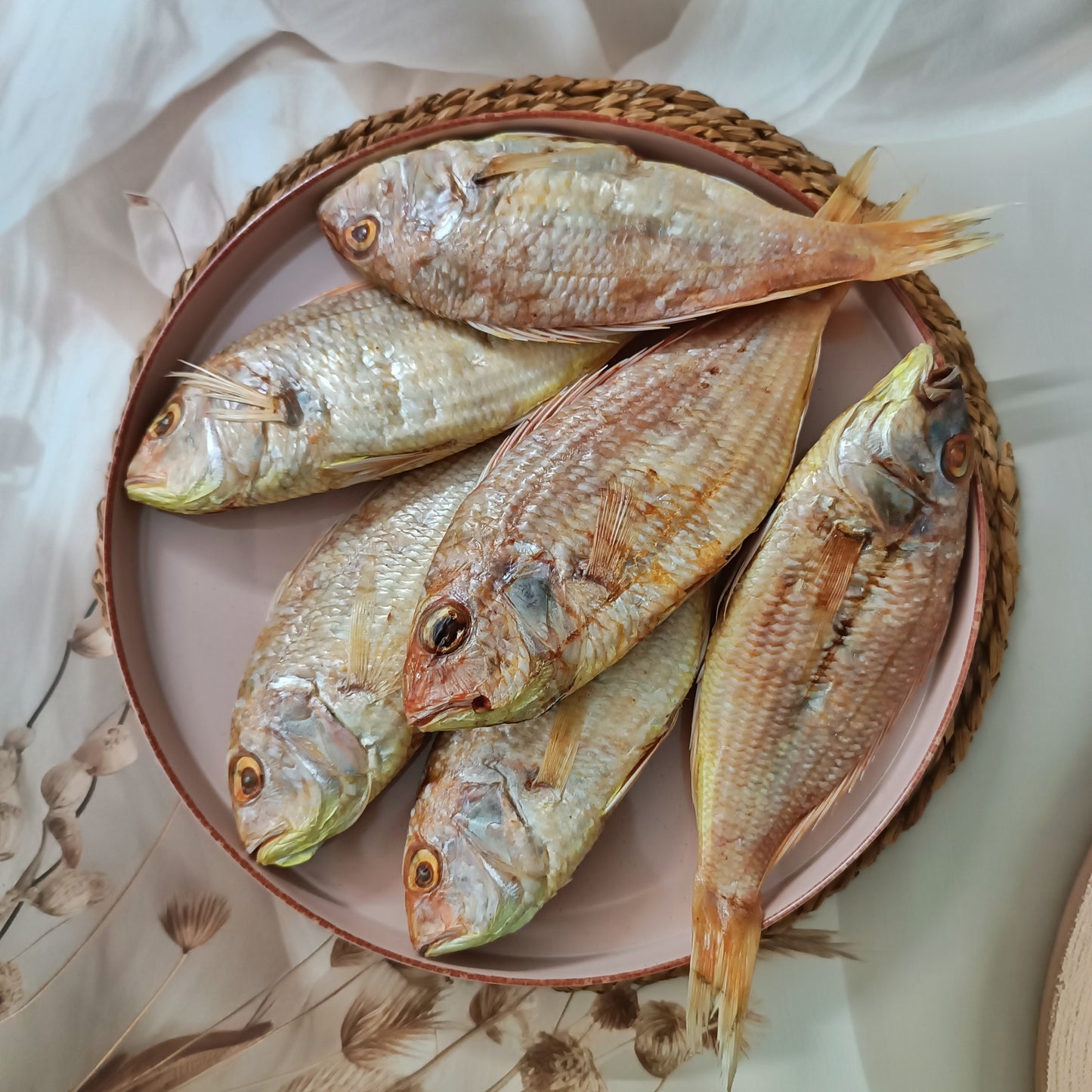 Pink Perch
